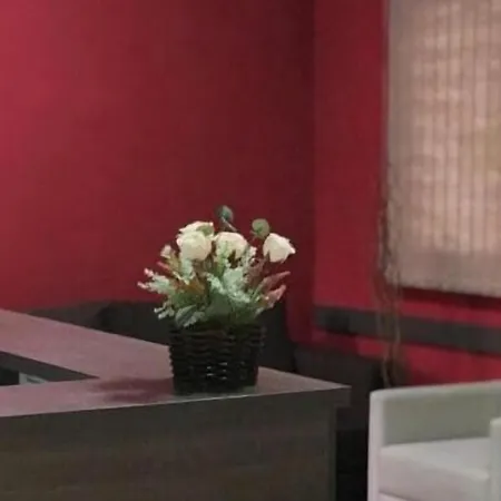 Pousada Executive Express - Proximo Ao Aeroporto-2